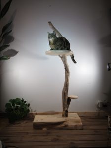 Arbre à chat - Medium en bois flotté