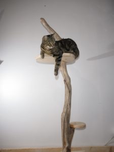 Arbre à chat - Medium en bois flotté