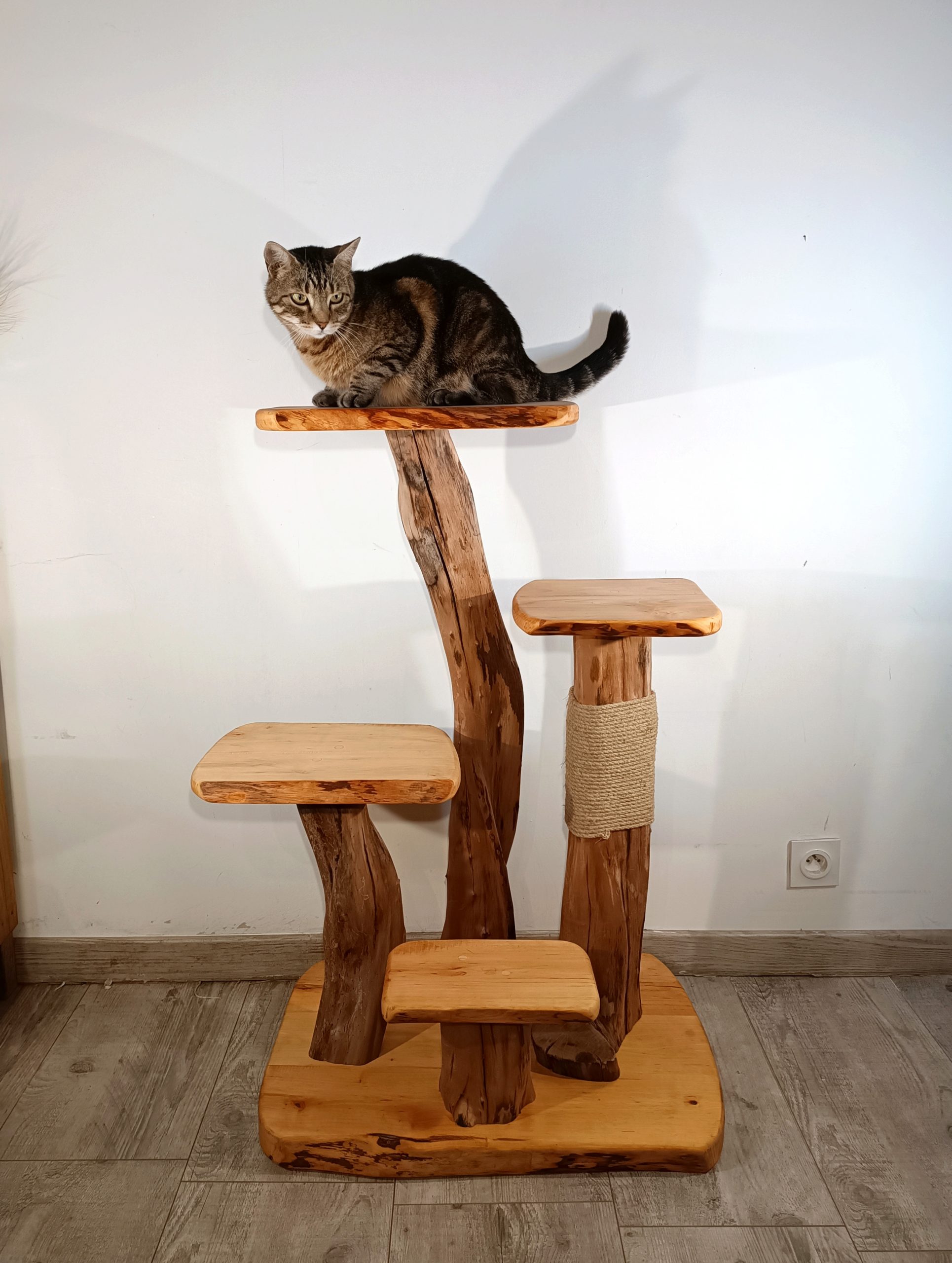 Arbre à Chat – Les Vieilles Vis